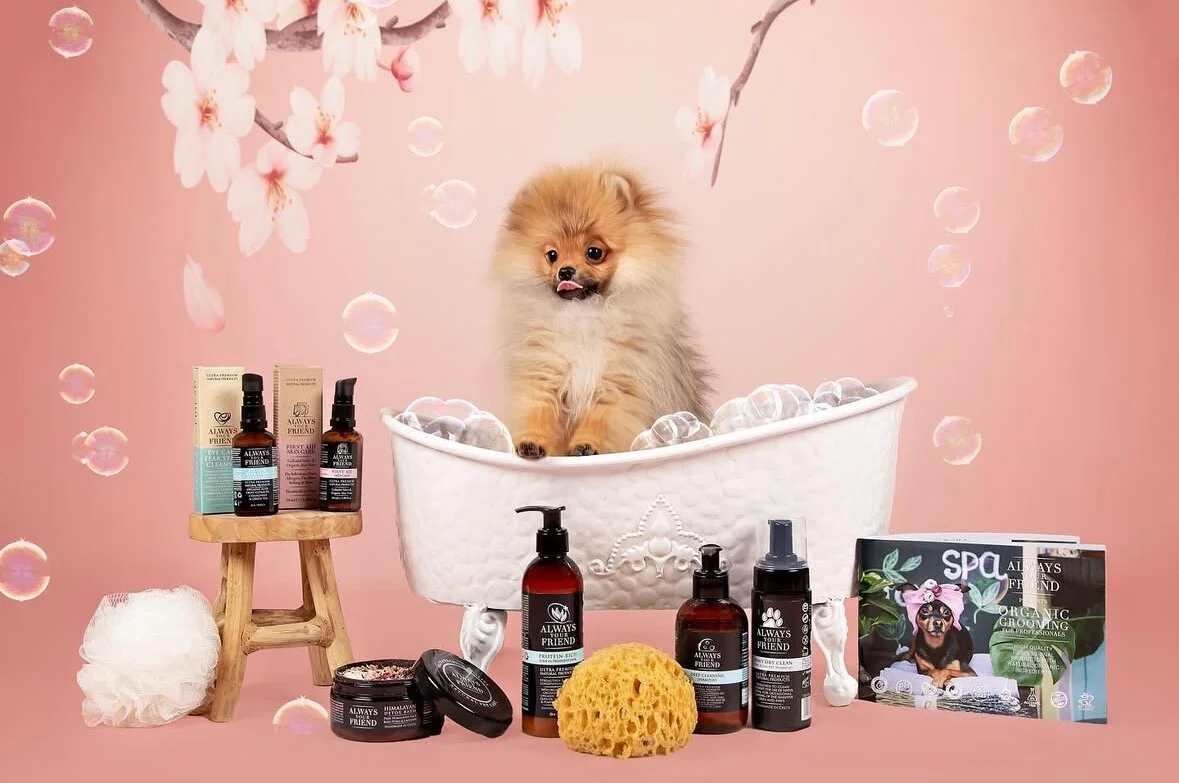Pomeranian in het spa-badje