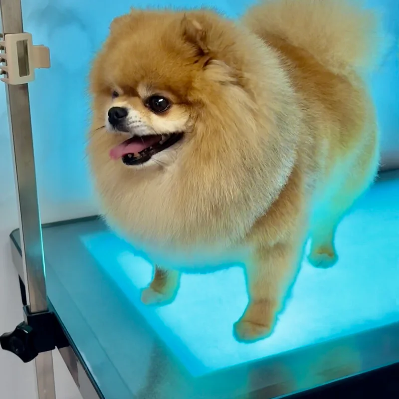 Klantje van Little Woof Spa